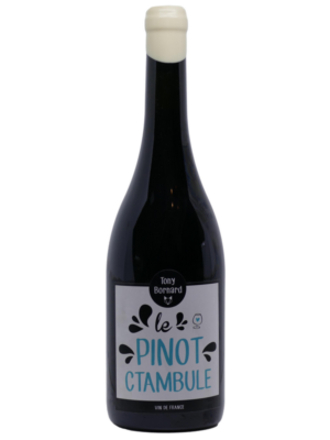 Bornard02-01 Tony Bornard PinotCtambule 2017