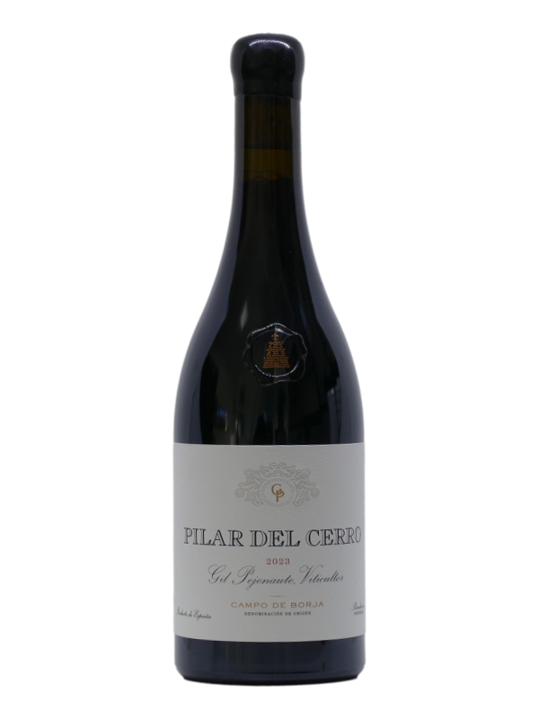 Pejenaute Pilar Del Cerro 2023
